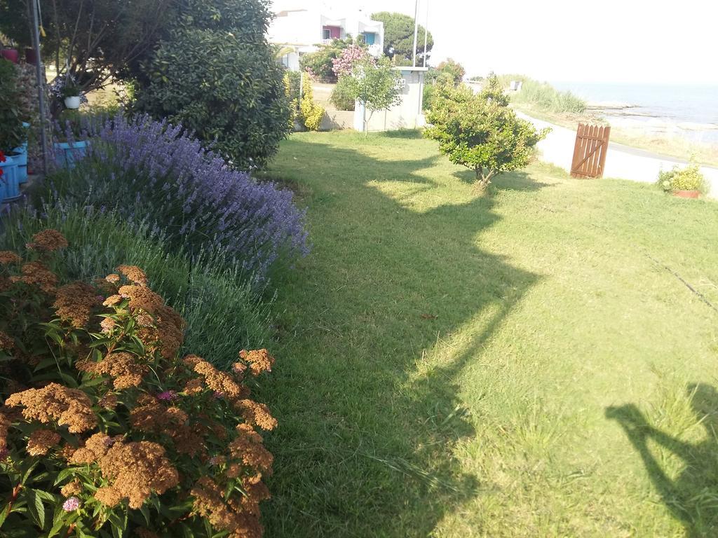 קסאנטי Villa Alexander מראה חיצוני תמונה